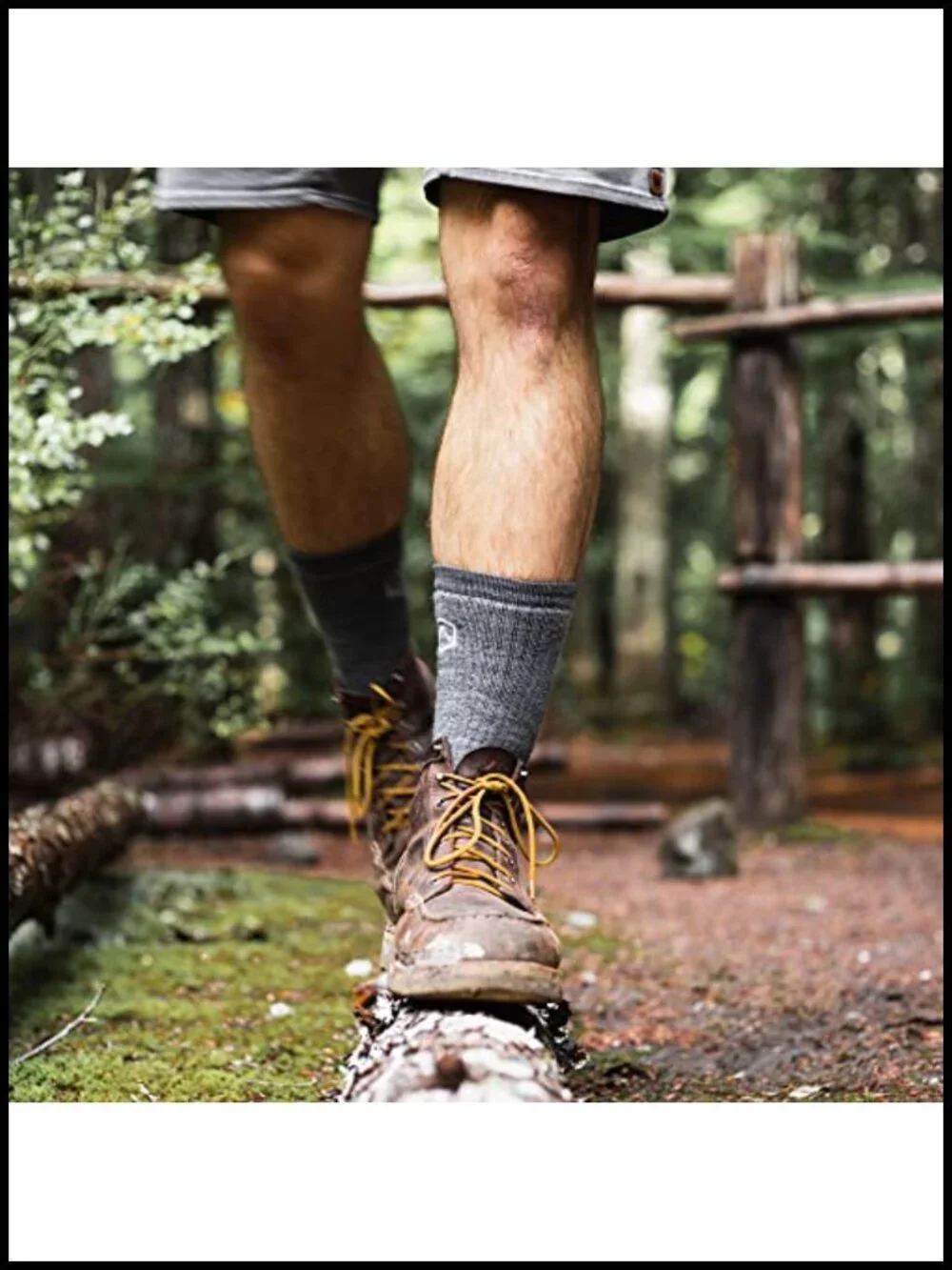 Merino Wool Hiking Socks 3-Pack Cushioned Crew Length Anti-Blister Moisture